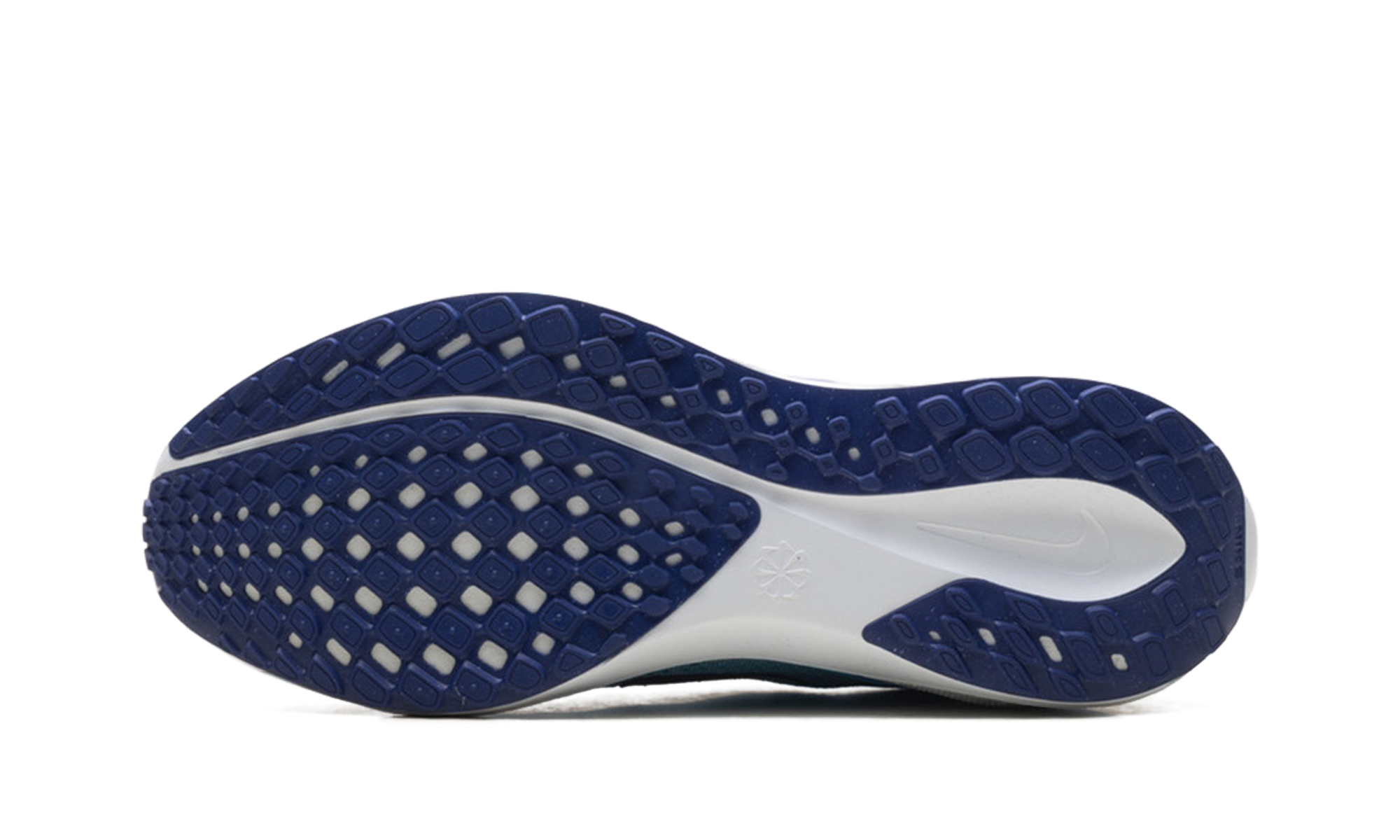 Air Zoom Pegasus 41 "Ghost Blue Void"