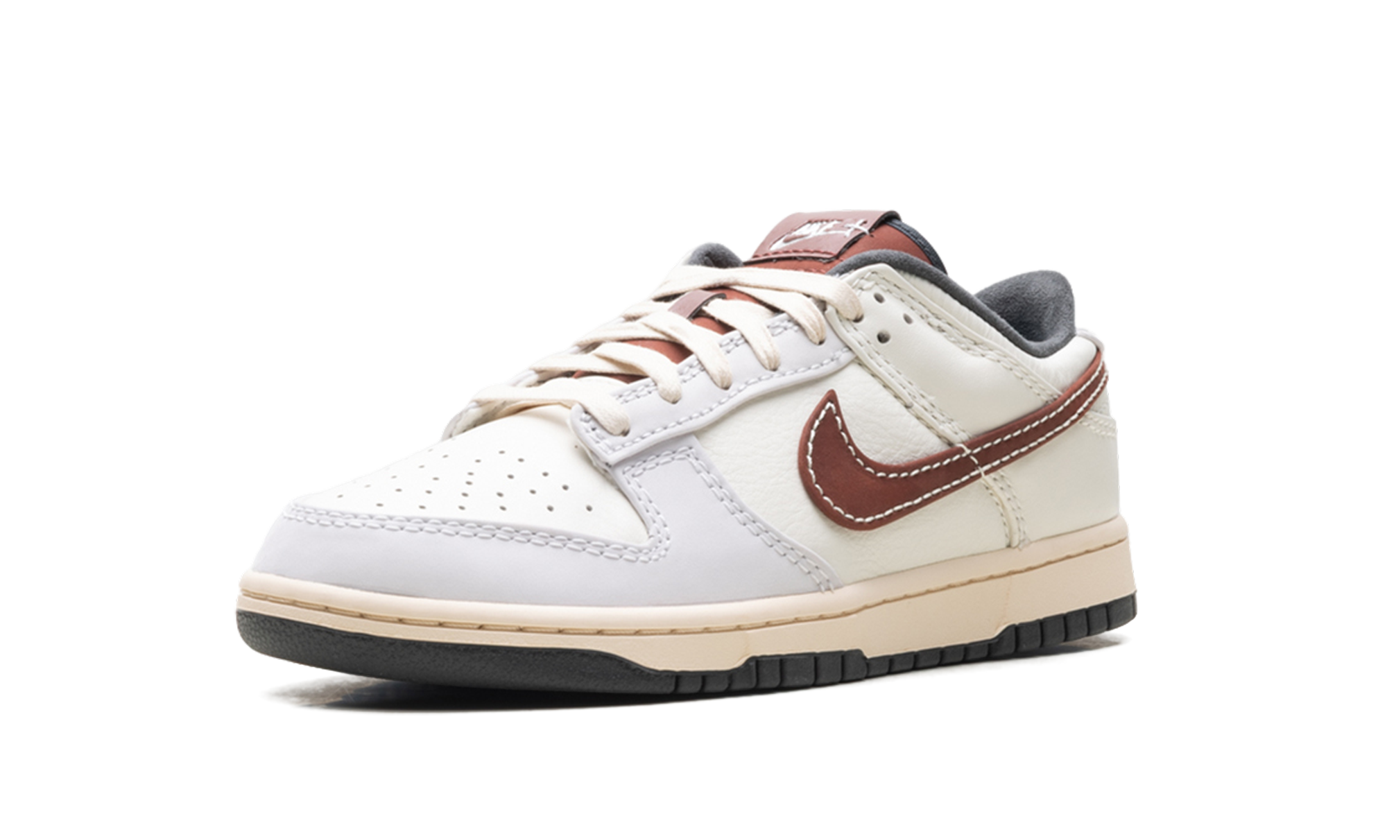 Dunk Low "Dark Pony"