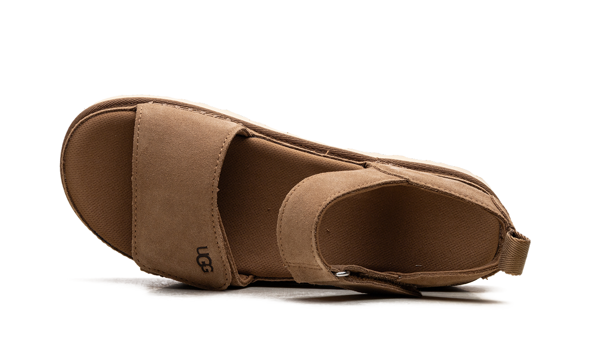 Goldenstar "Chestnut"