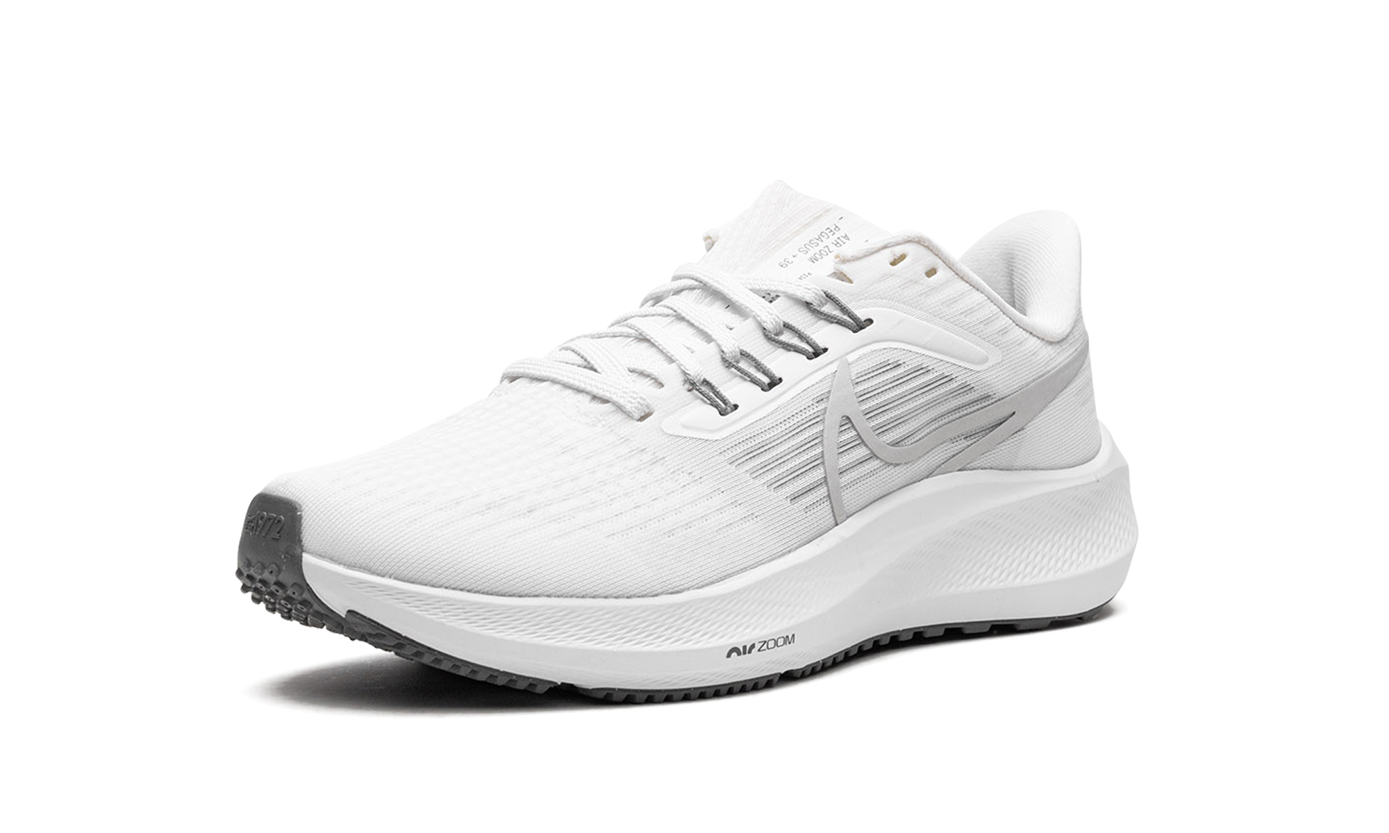 Pegasus 39 "Grey Fog"