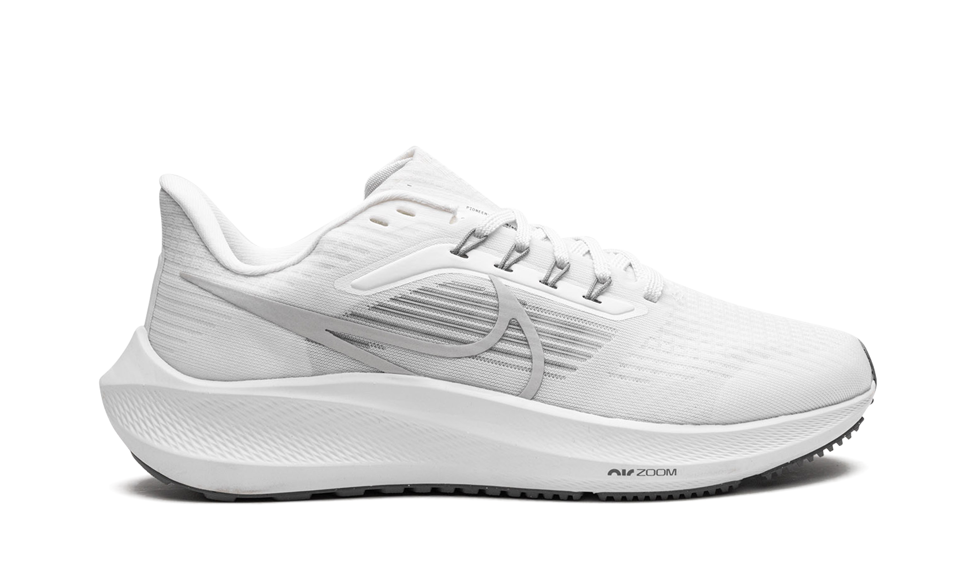 Pegasus 39 "Grey Fog"
