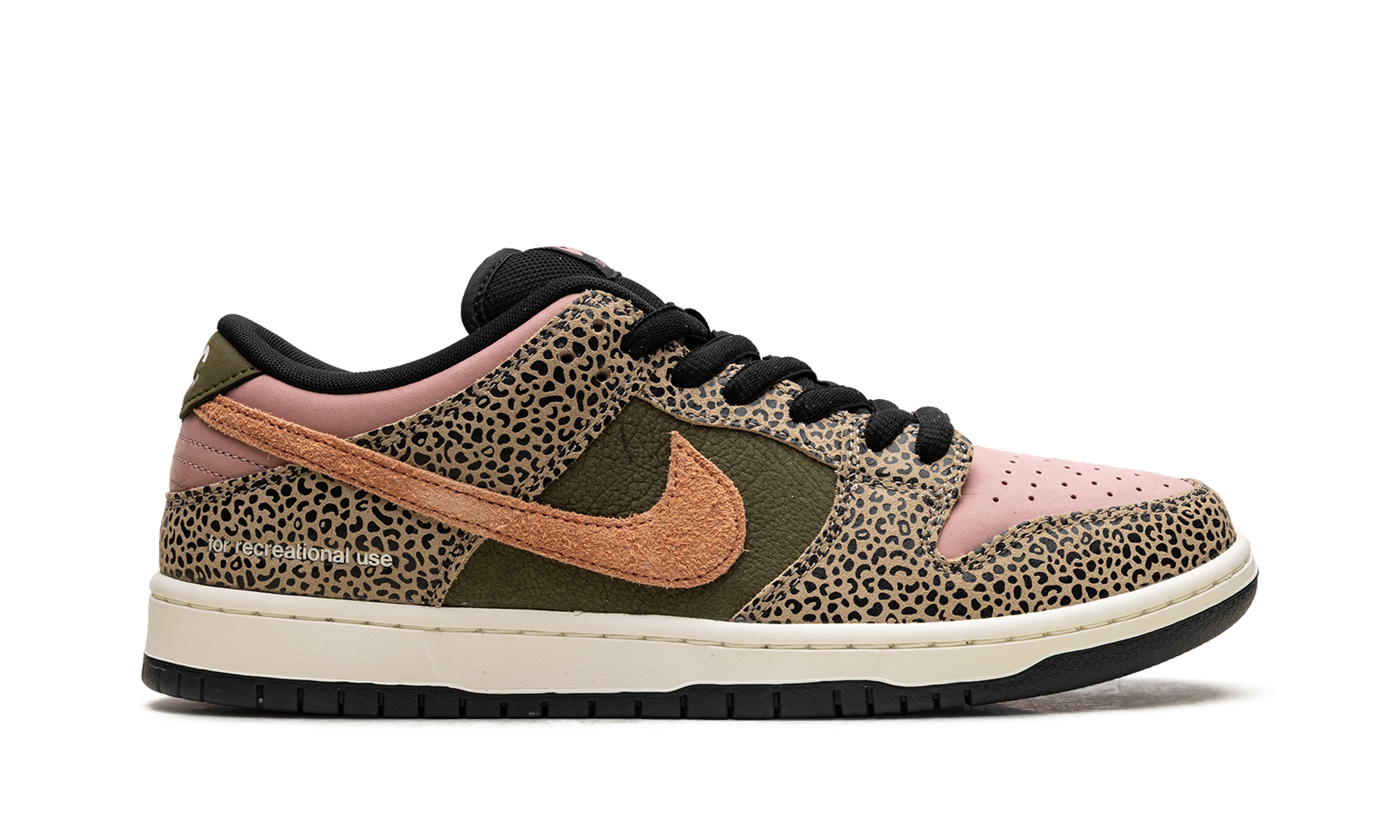 Sb Dunk Low "Arts-rec"