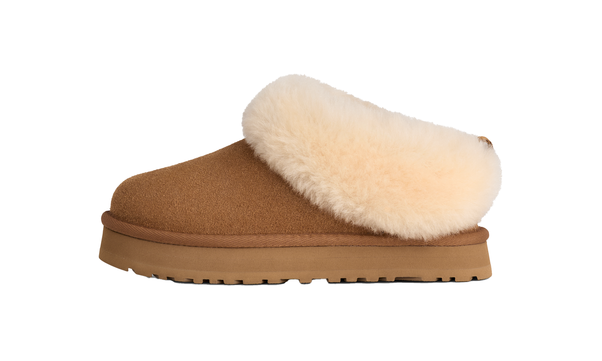 Tazzelle GS "Chestnut"