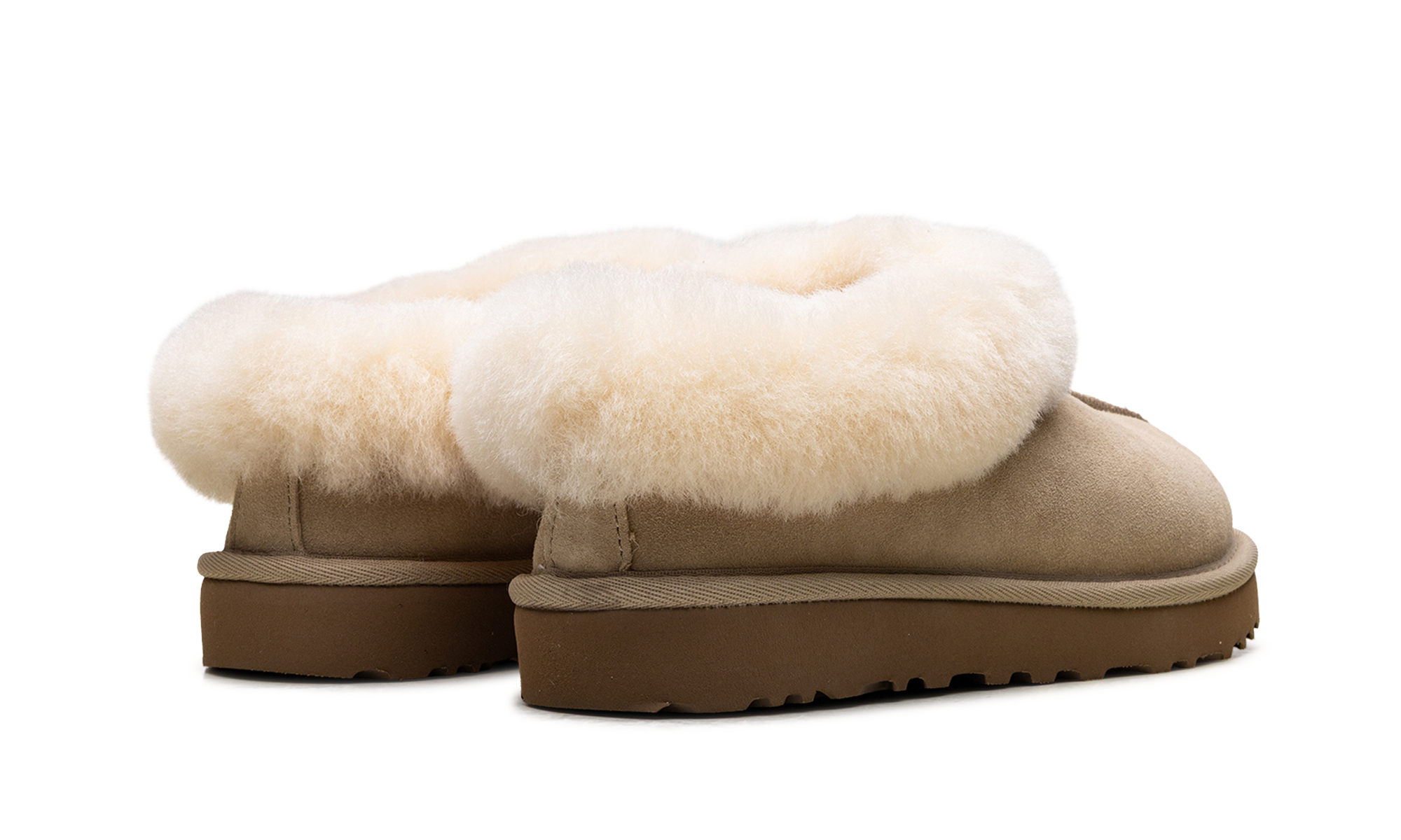 Tazzette Women "Mustard Seed"