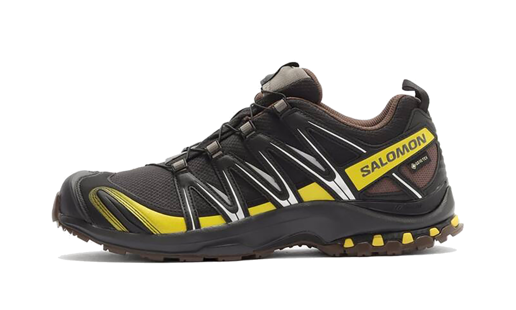Xa Pro 3d Gore-Tex "Cress Green French Roast"